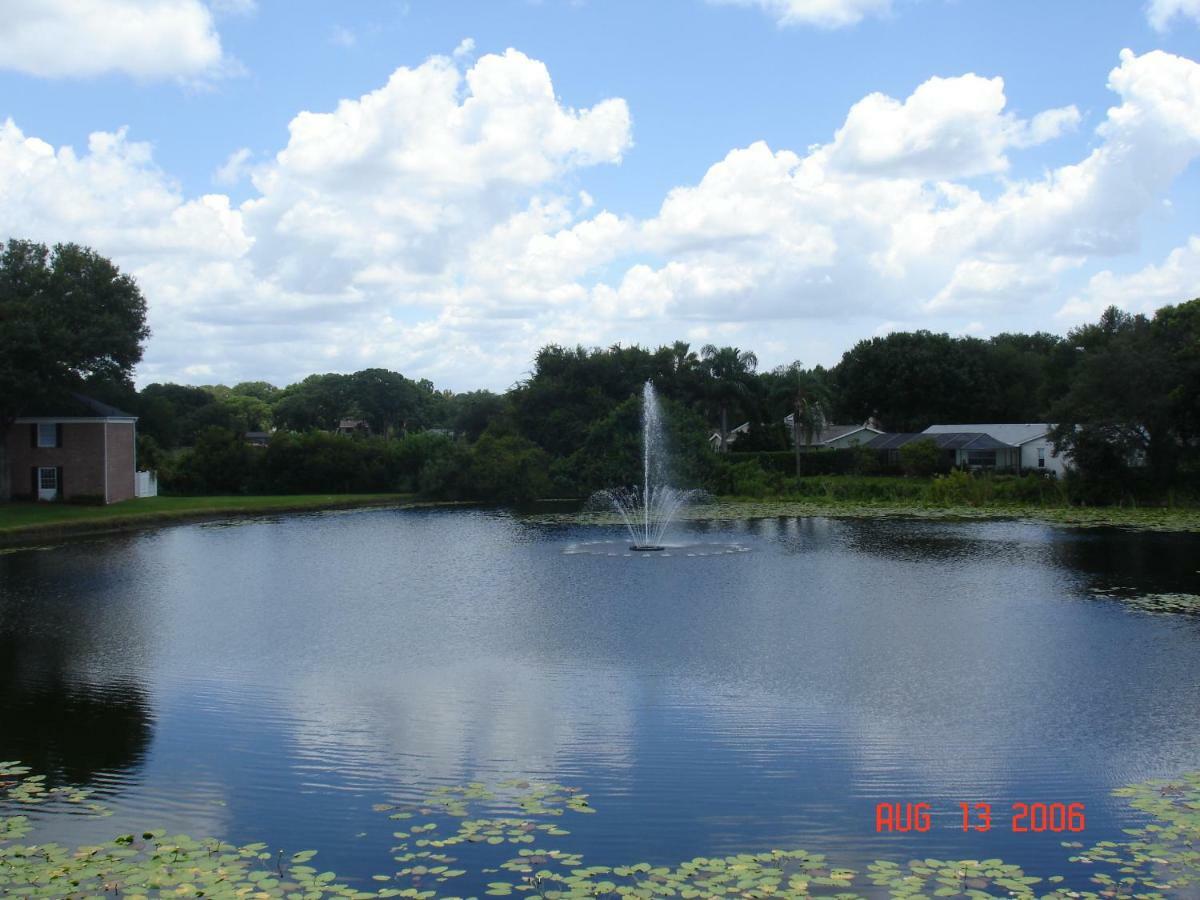 Beautiful Condo Close To Busch Gardens Тампа Экстерьер фото